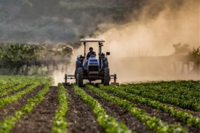 Os benefícios do pó de rocha na agricultura