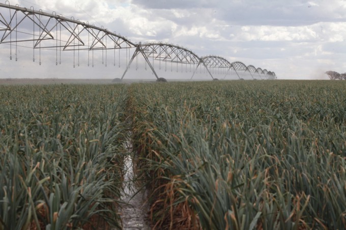 Fertilizante: 2 milhões de hectares de lavouras já usam pó de rocha